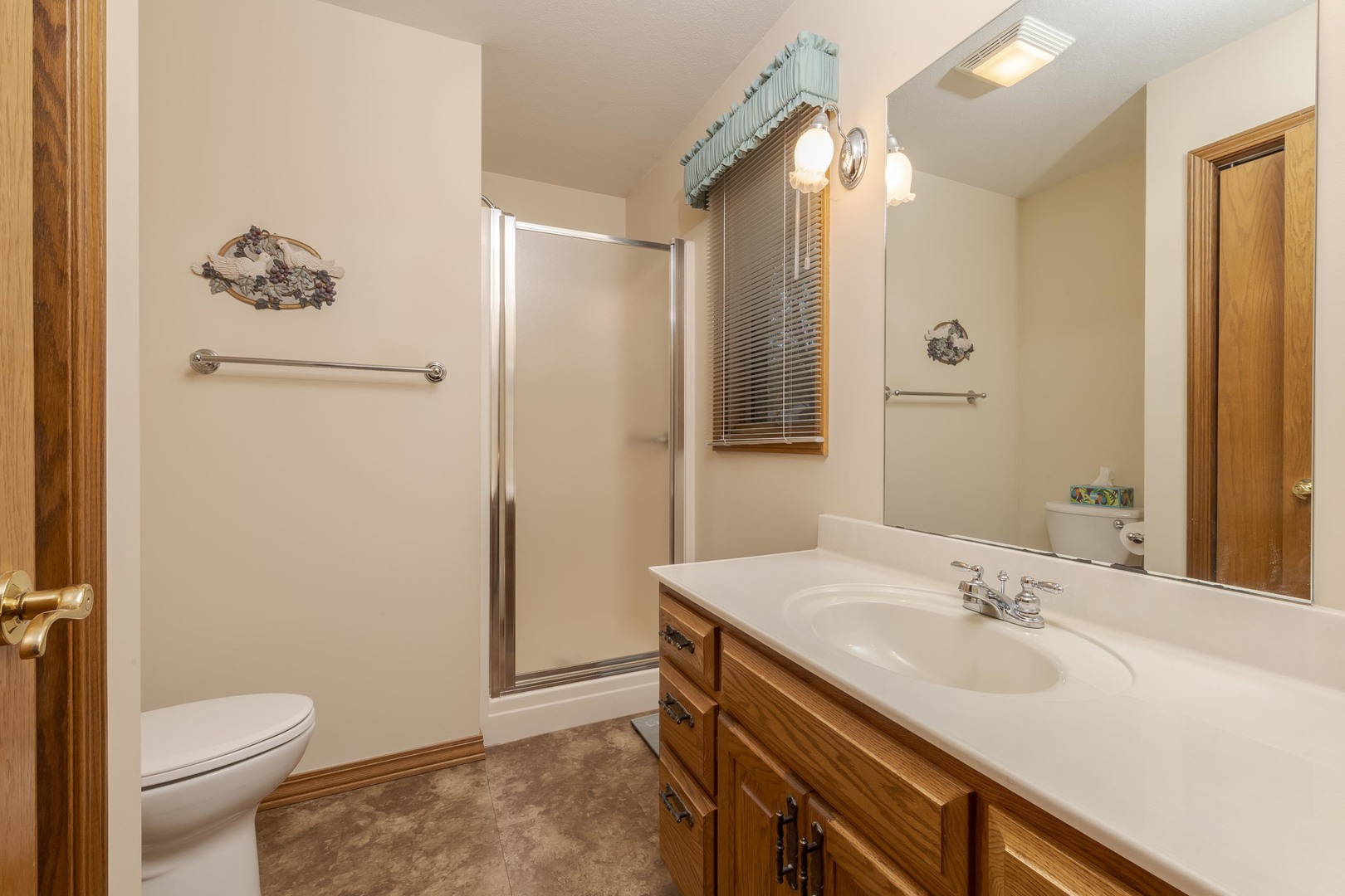 103 East 9th Street Gridley, IL 61744 - Photo 19 of 45 a bathroom with a sink a toilet and shower