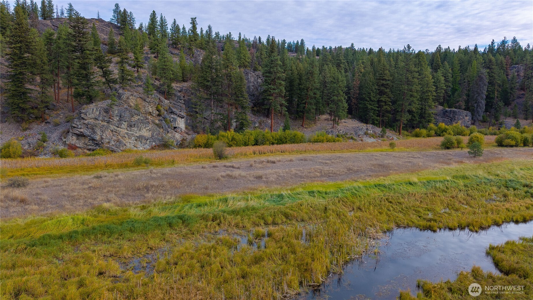 a view of yard with green space and fog