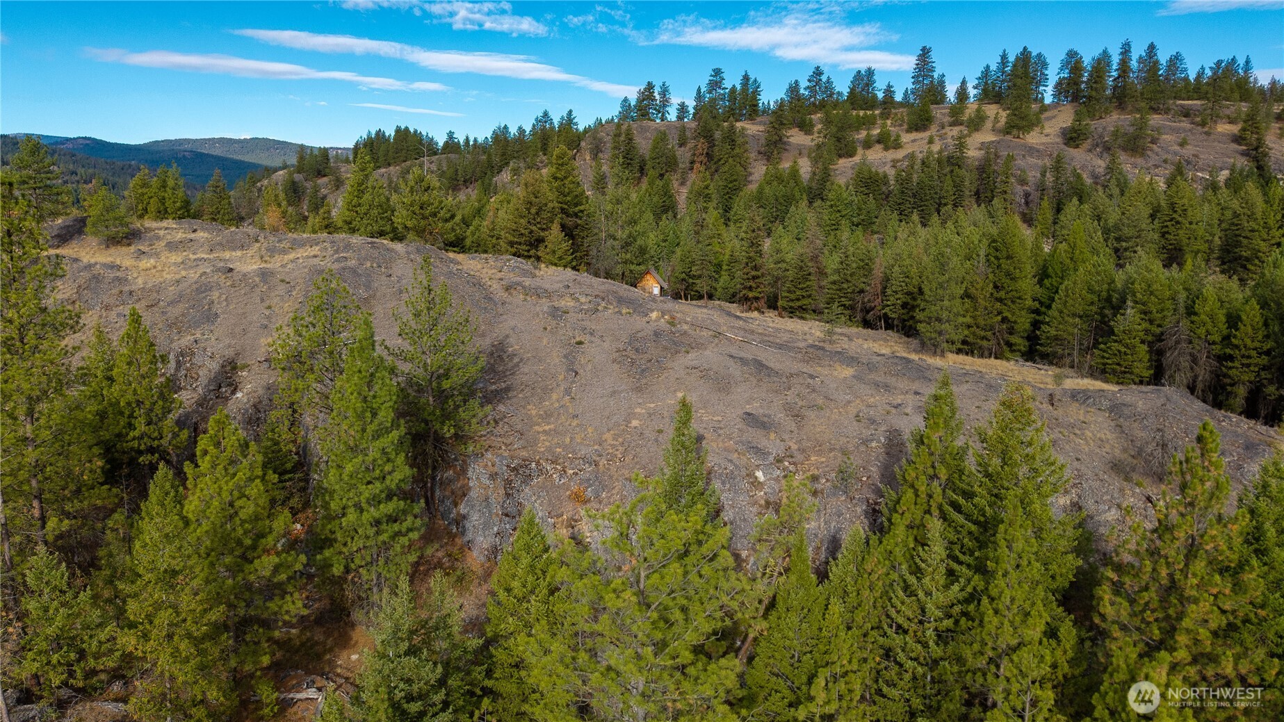 0 Eaglestone Road Tonasket, WA 98855 - Photo 11 of 40 a view of a lush green field with lots of bushes