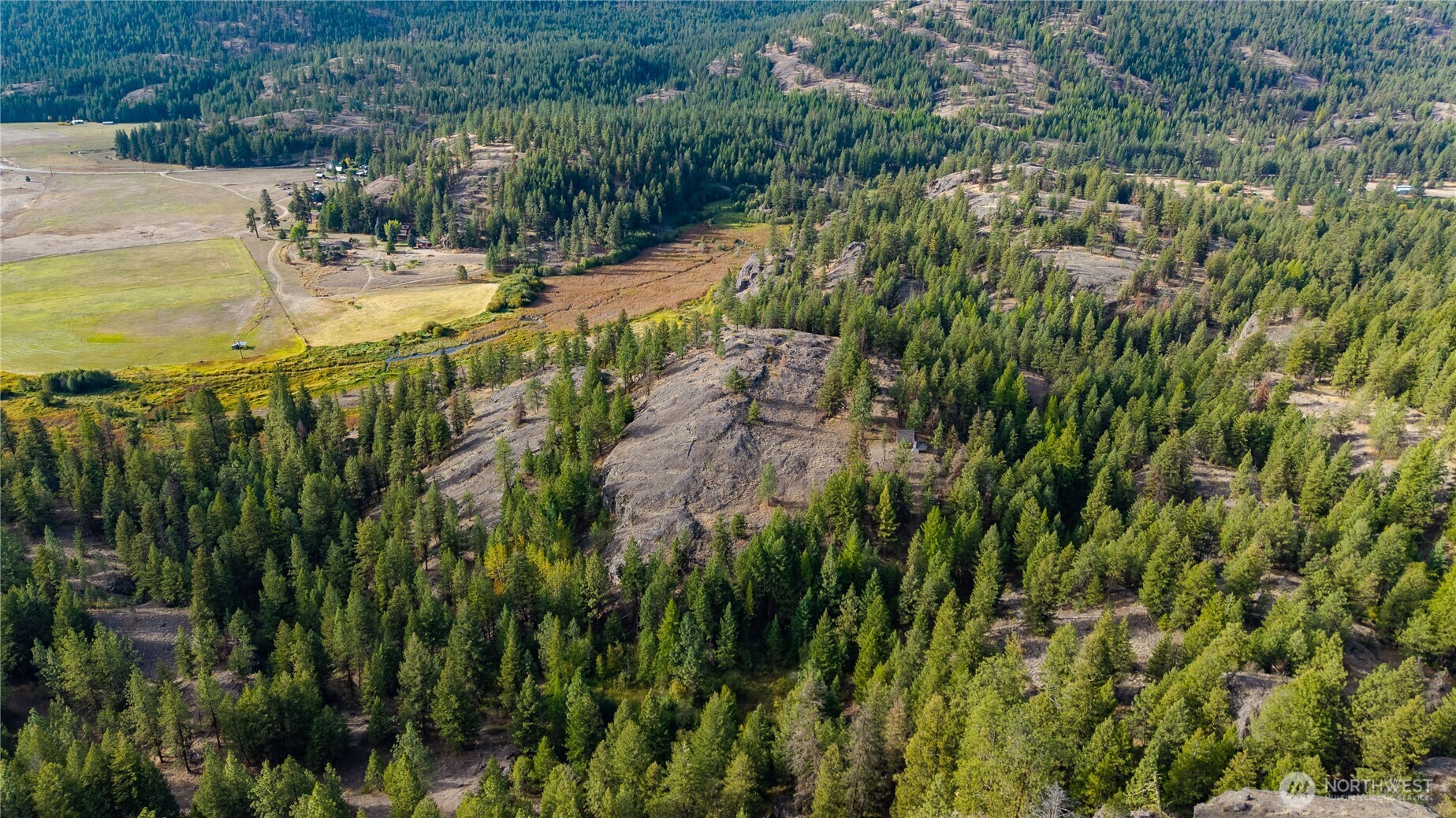 0 Eaglestone Road Tonasket, WA 98855 - Photo 13 of 40 a view of a yard with plants and large trees