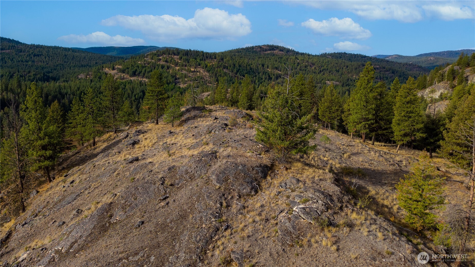 0 Eaglestone Road Tonasket, WA 98855 - Photo 16 of 40 a view of a lake with mountains in the background