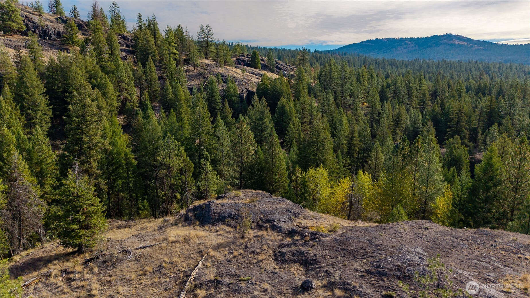 0 Eaglestone Road Tonasket, WA 98855 - Photo 18 of 40 a view of a city with lush green forest