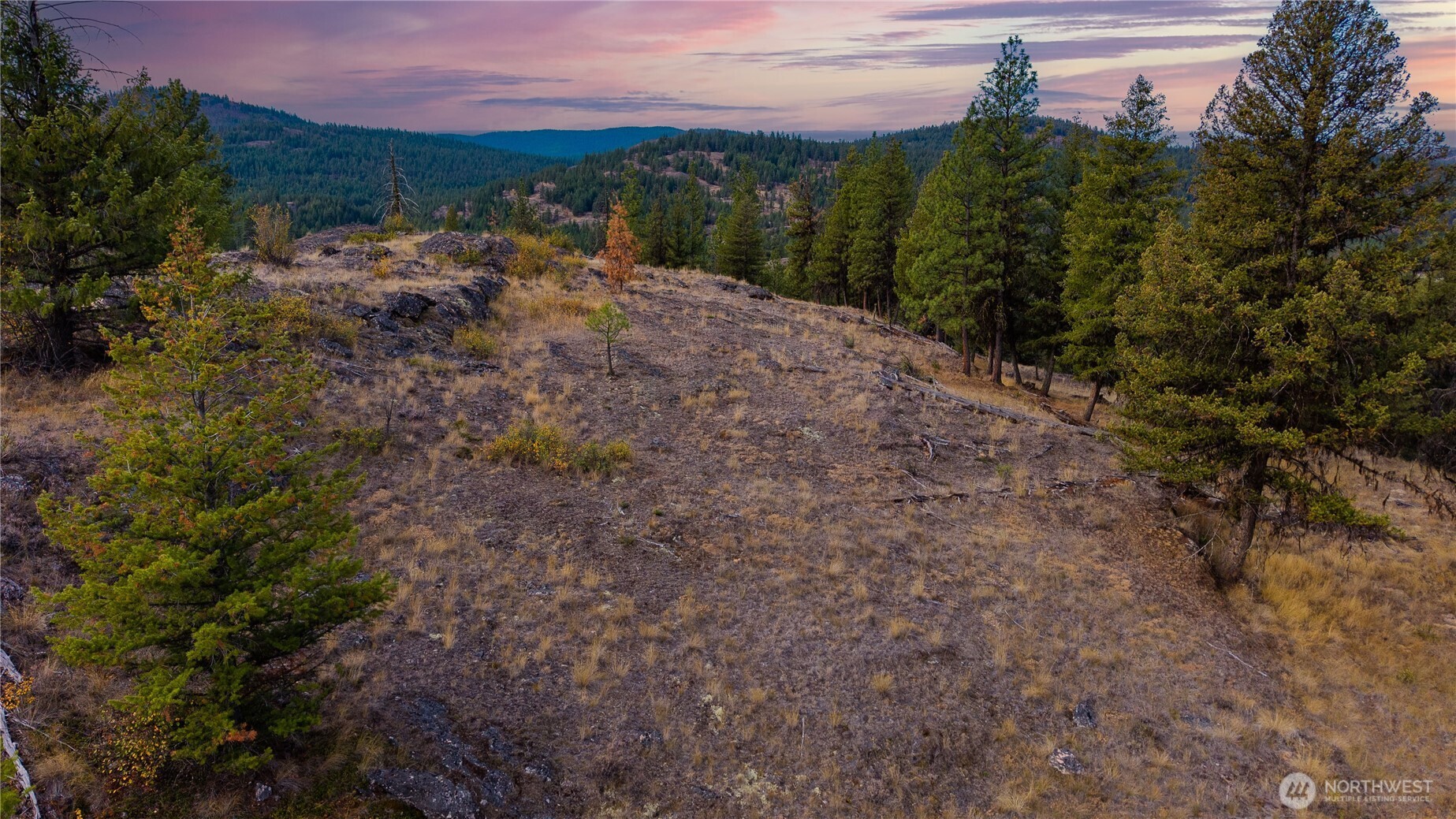 0 Eaglestone Road Tonasket, WA 98855 - Photo 24 of 40 a view of a yard with a house