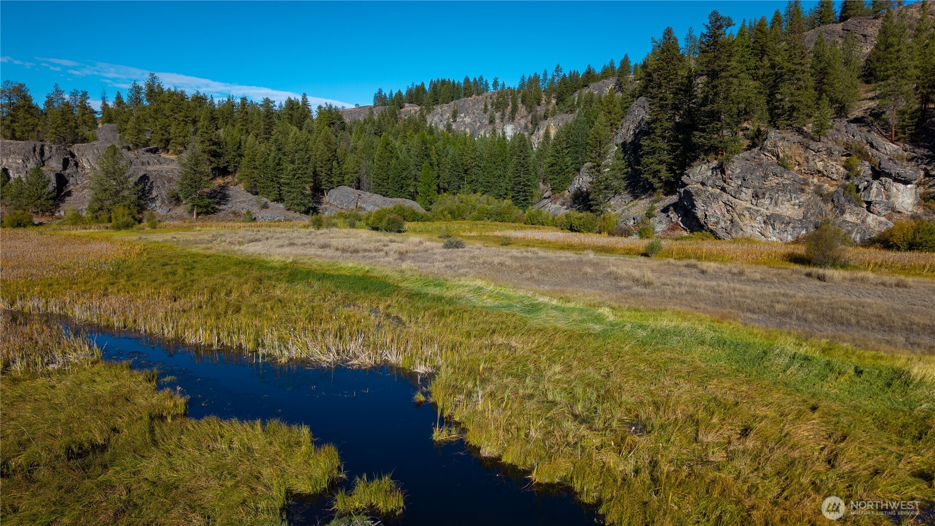 0 Eaglestone Road Tonasket, WA 98855 - Photo 3 of 40 a view of outdoor space with trees all around