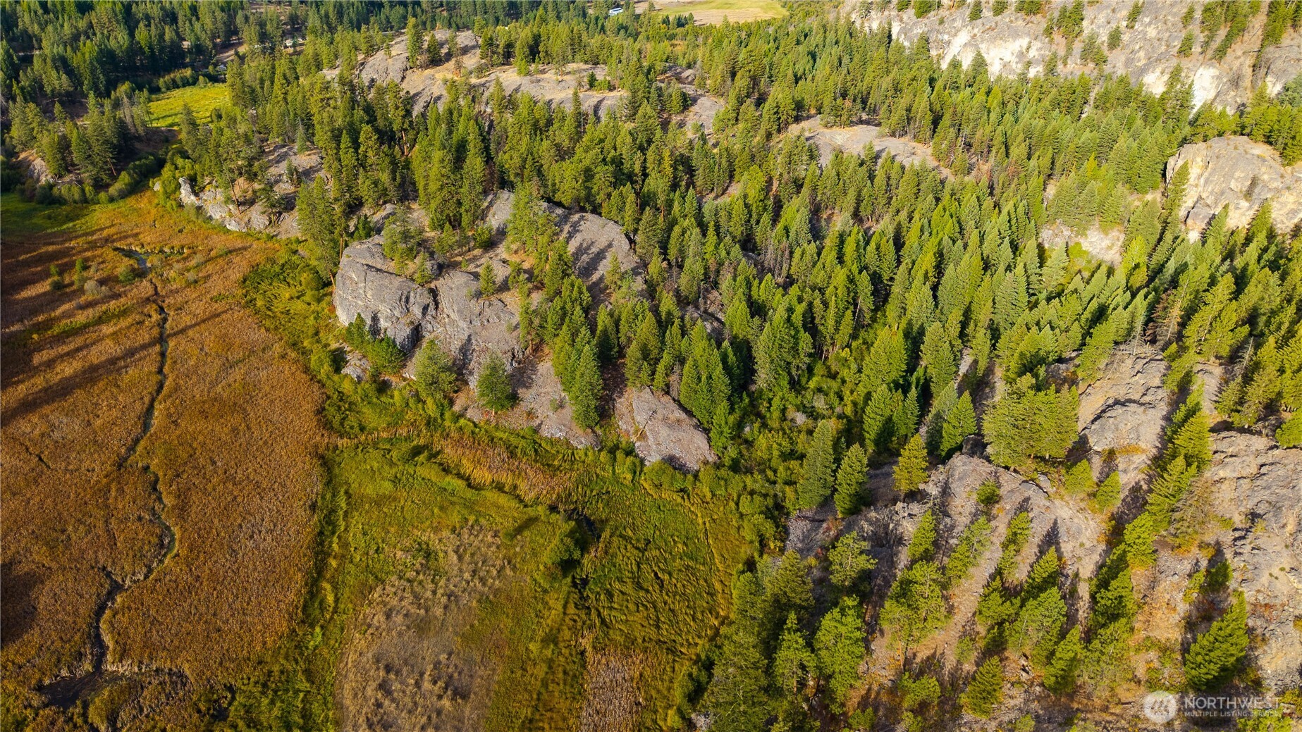 0 Eaglestone Road Tonasket, WA 98855 - Photo 31 of 40 a view of a bunch of trees and bushes
