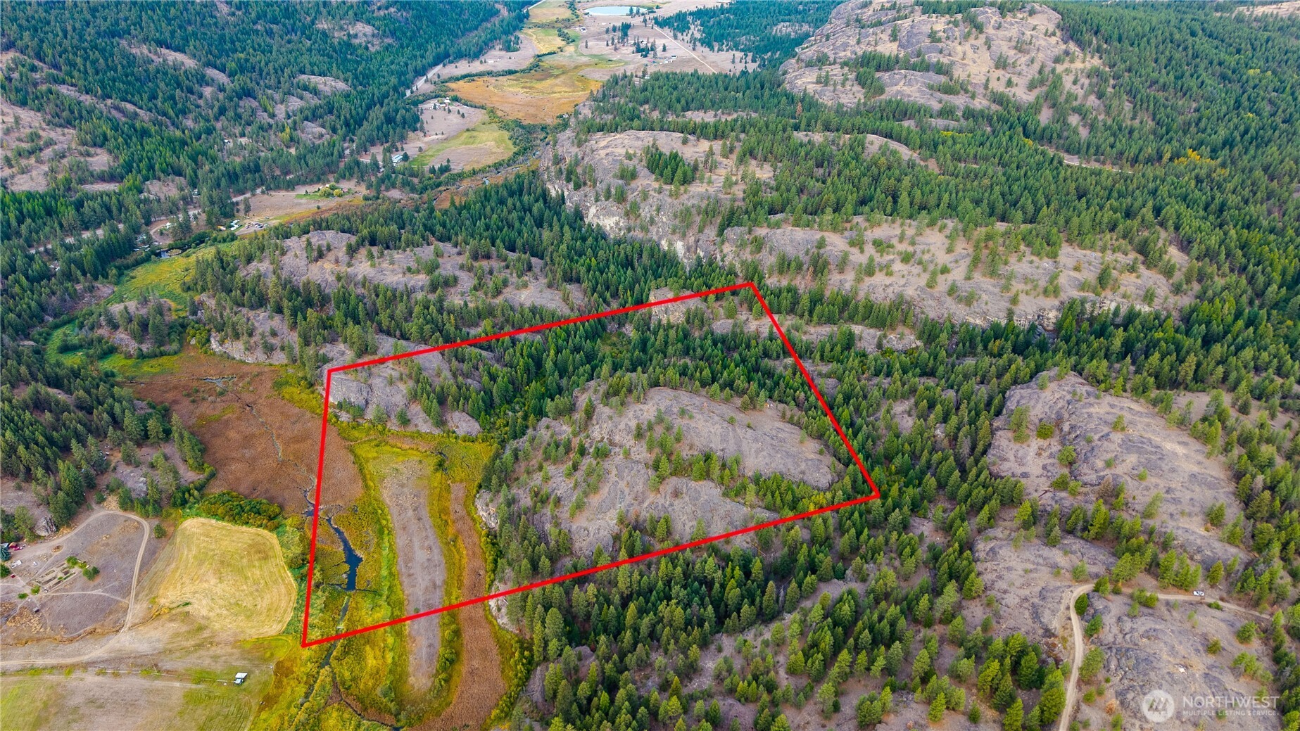 0 Eaglestone Road Tonasket, WA 98855 - Photo 38 of 40 a picture of flowers