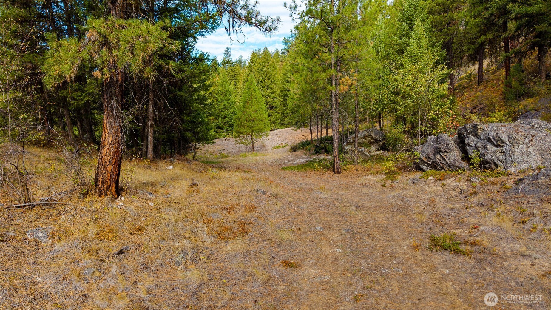 0 Eaglestone Road Tonasket, WA 98855 - Photo 5 of 40 a view of backyard with green space