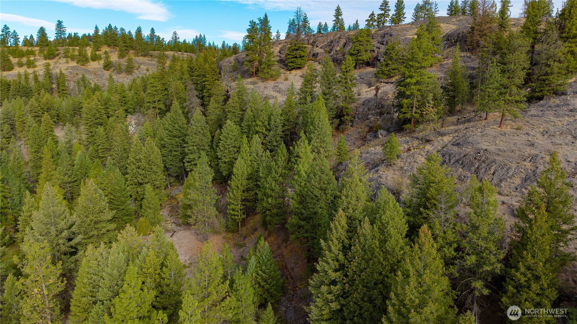 0 Eaglestone Road Tonasket, WA 98855 - Photo 7 of 40 a view of a yard and trees