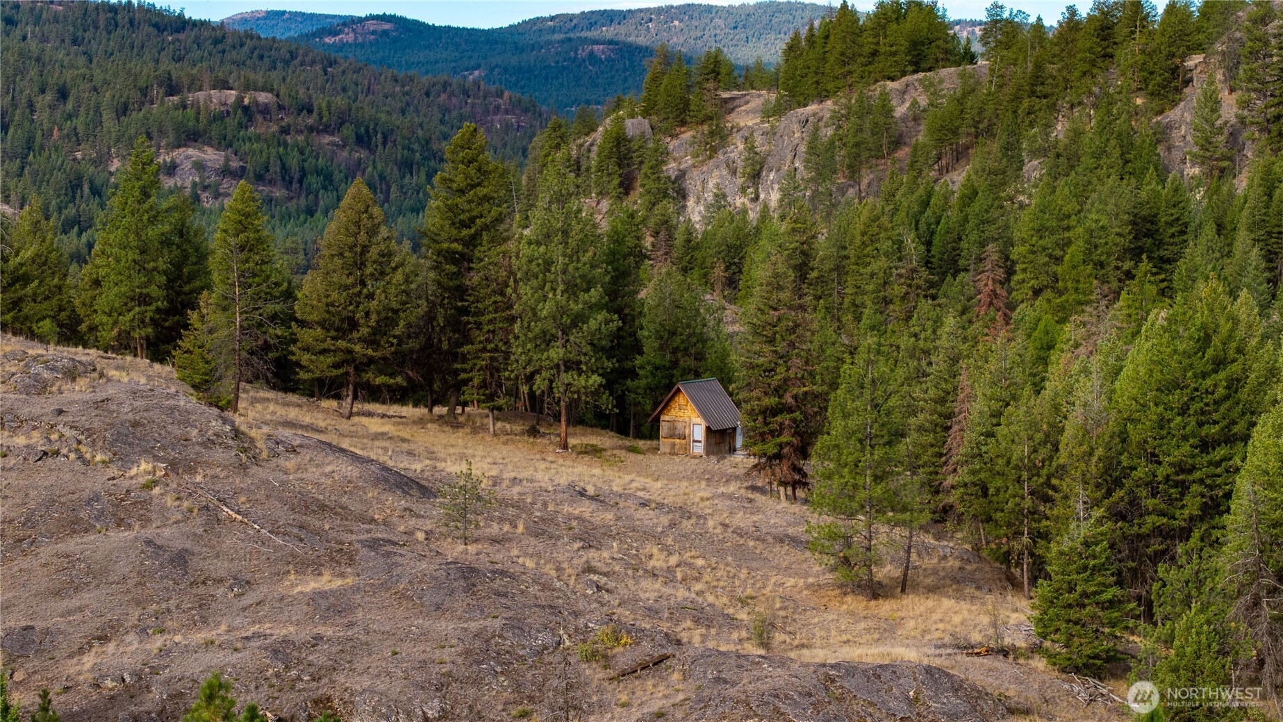 0 Eaglestone Road Tonasket, WA 98855 - Photo 9 of 40 a view of a dry yard with trees