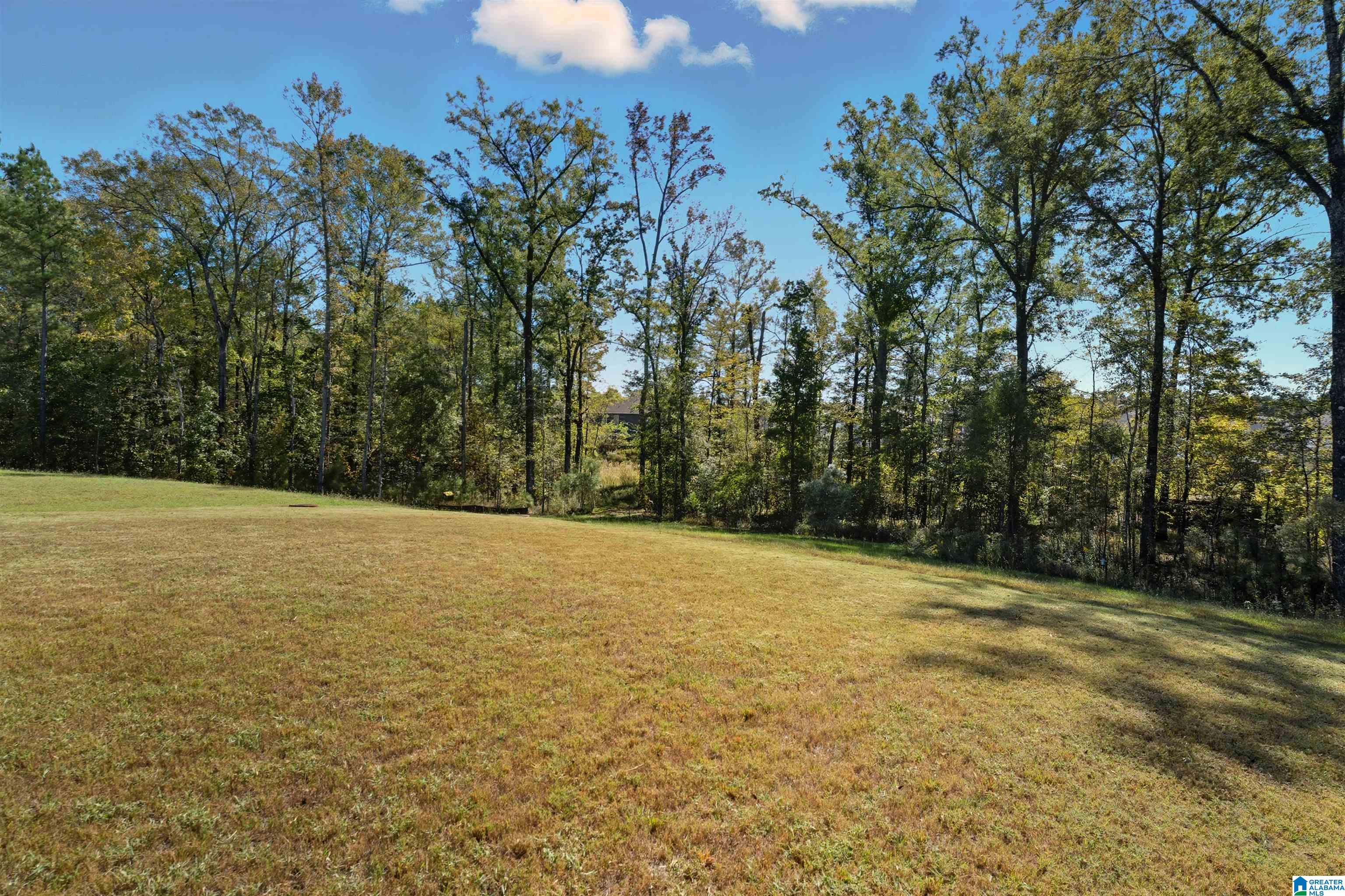 173 Chelsea Park Road Chelsea, AL 35043 - Photo 39 of 44