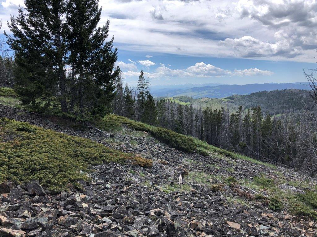 Tbd Indian Creek Road Townsend, MT 59644 - Photo 37 of 50 Gallery Image 37
