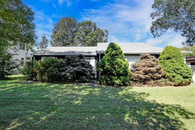 a view of a backyard with plants