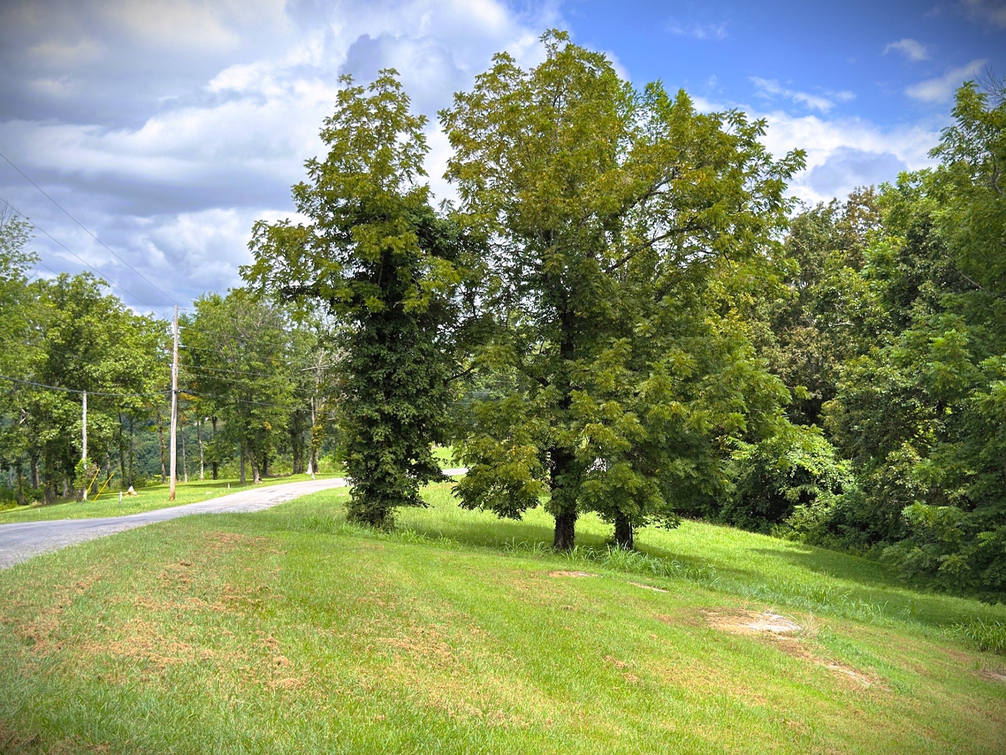 0 Swan Ridge Road Celina, TN 38551 - Photo 11 of 27