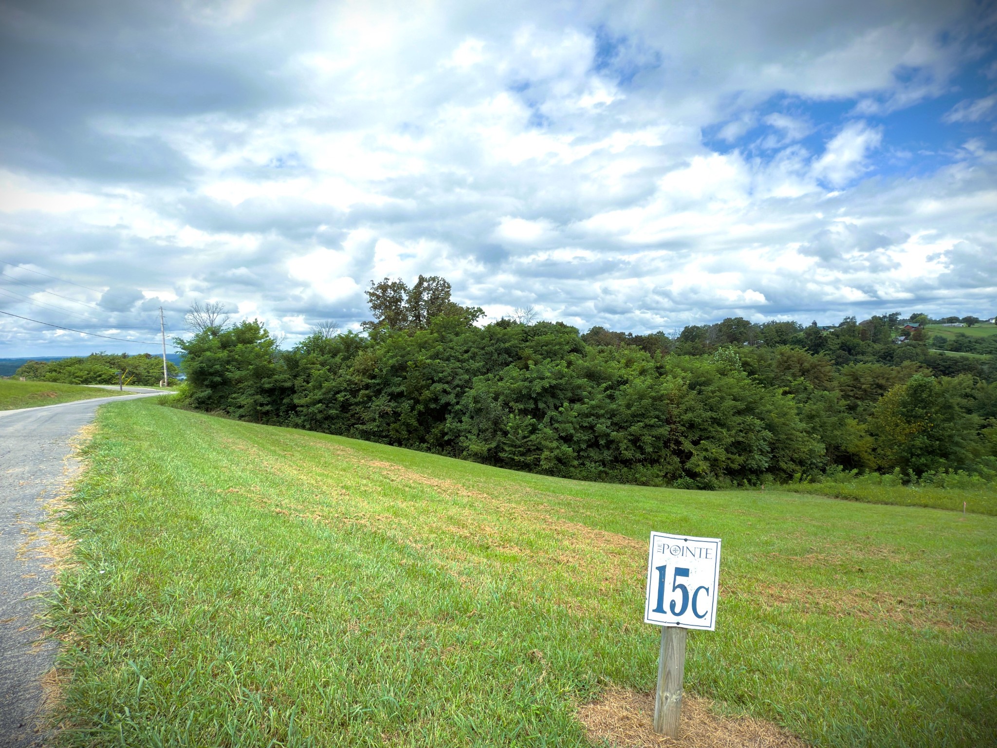 0 Swan Ridge Road Celina, TN 38551 - Photo 8 of 27