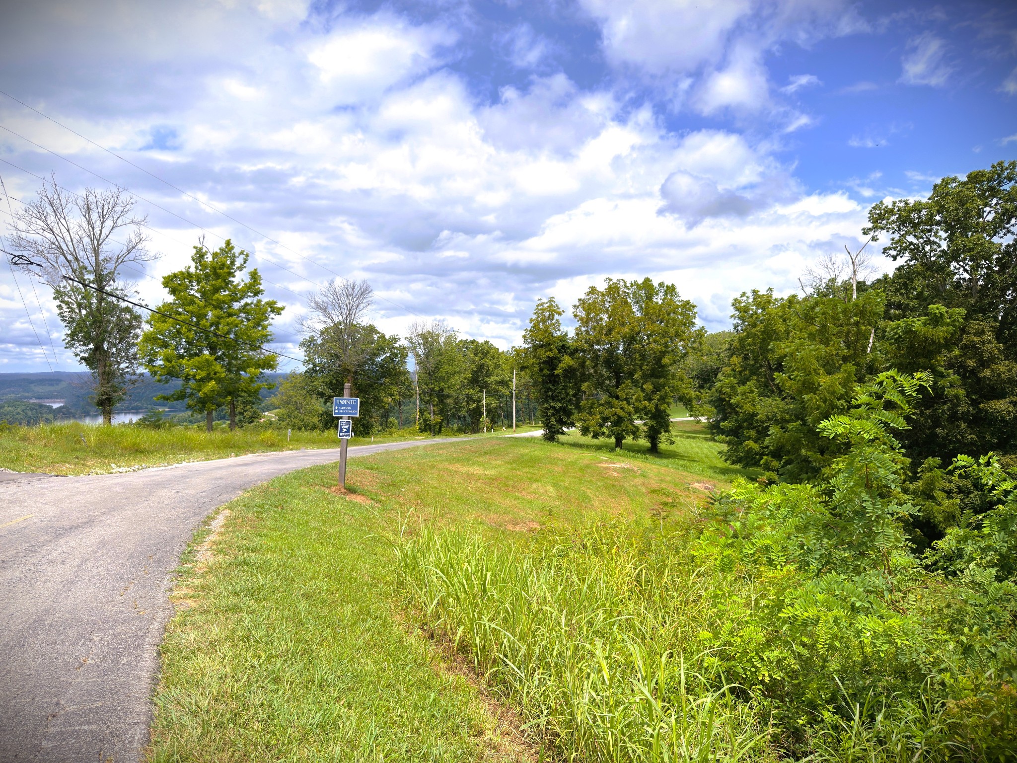 0 Swan Ridge Road Celina, TN 38551 - Photo 10 of 27