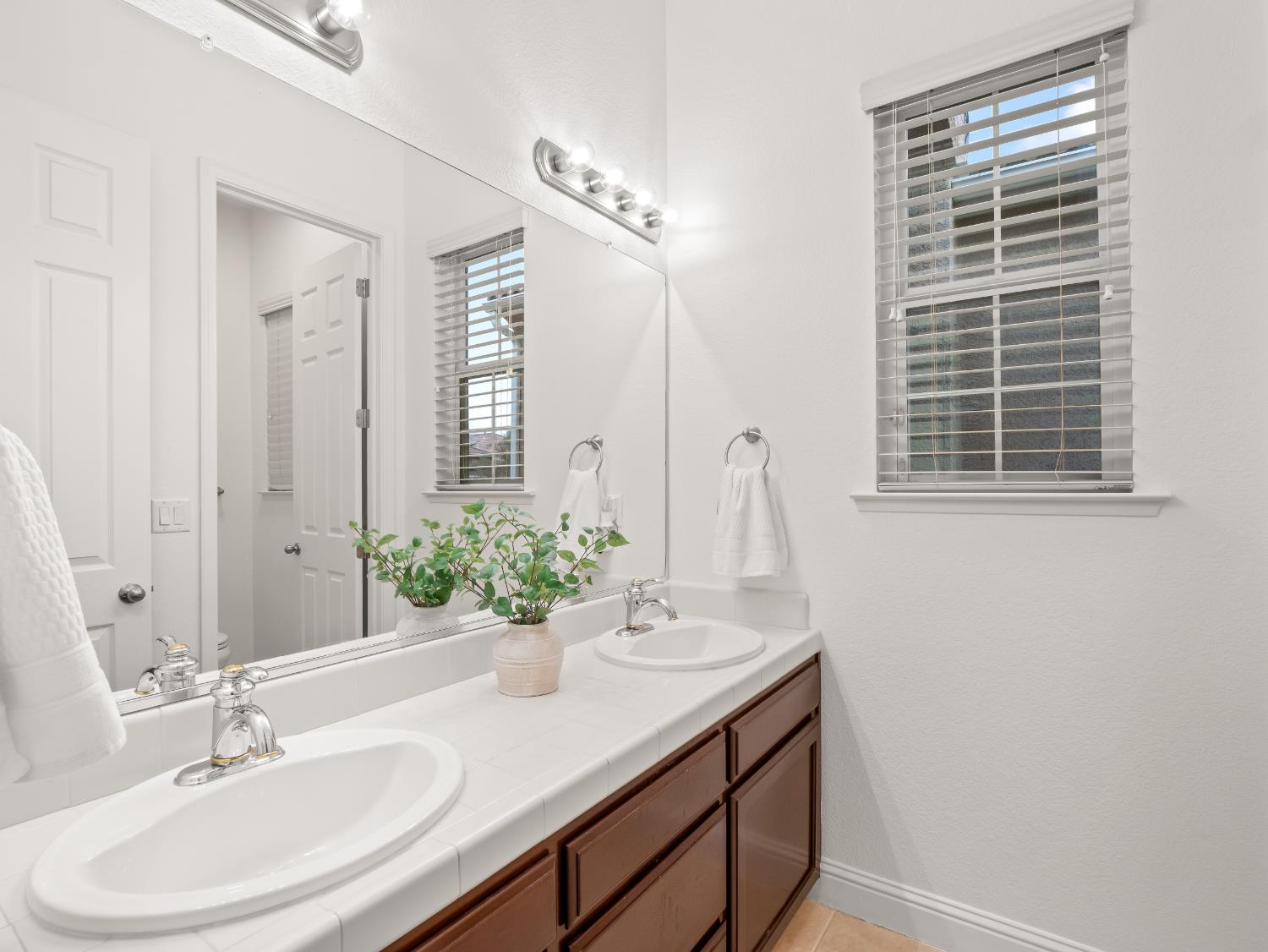 8683 North Richelle Avenue Fresno, CA 93720 - Photo 22 of 44 a bathroom with a sink and a mirror