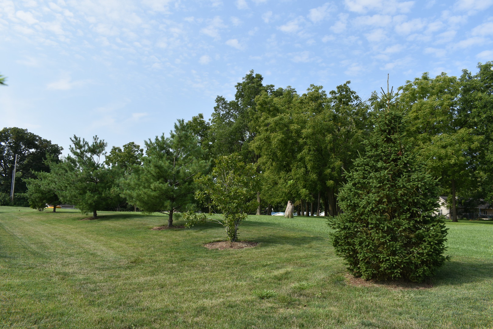 13 Wolf Run Road El Paso, IL 61738 - Photo 52 of 57 a view of a green field with trees in the background