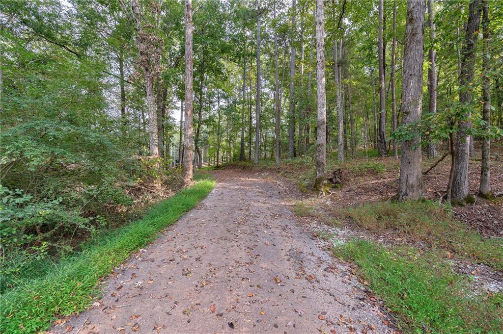 4459 Grady Smith Road Loganville, GA 30052 - Photo 114 of 124 a view of a forest with trees in the background