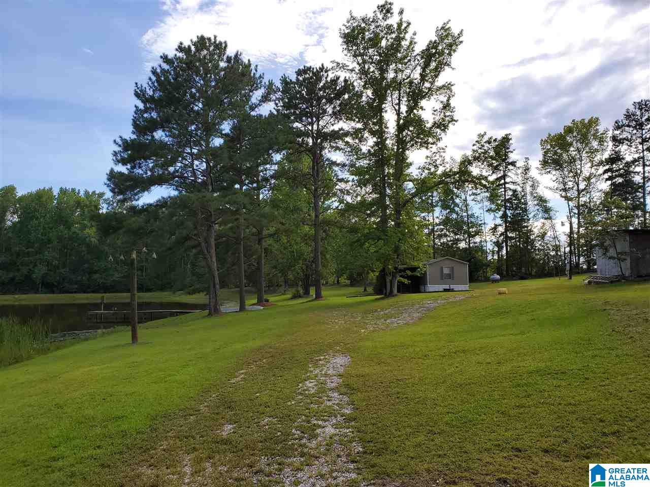 395 Hollow Branch Road Rockford, AL 35136 - Photo 3 of 26