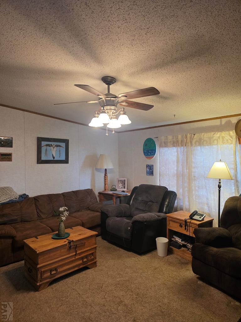 8152 Pine Drive Rye, CO 81069 - Photo 5 of 12