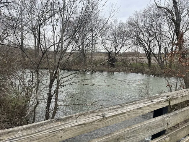 a view of a yard covered with snow in front of house