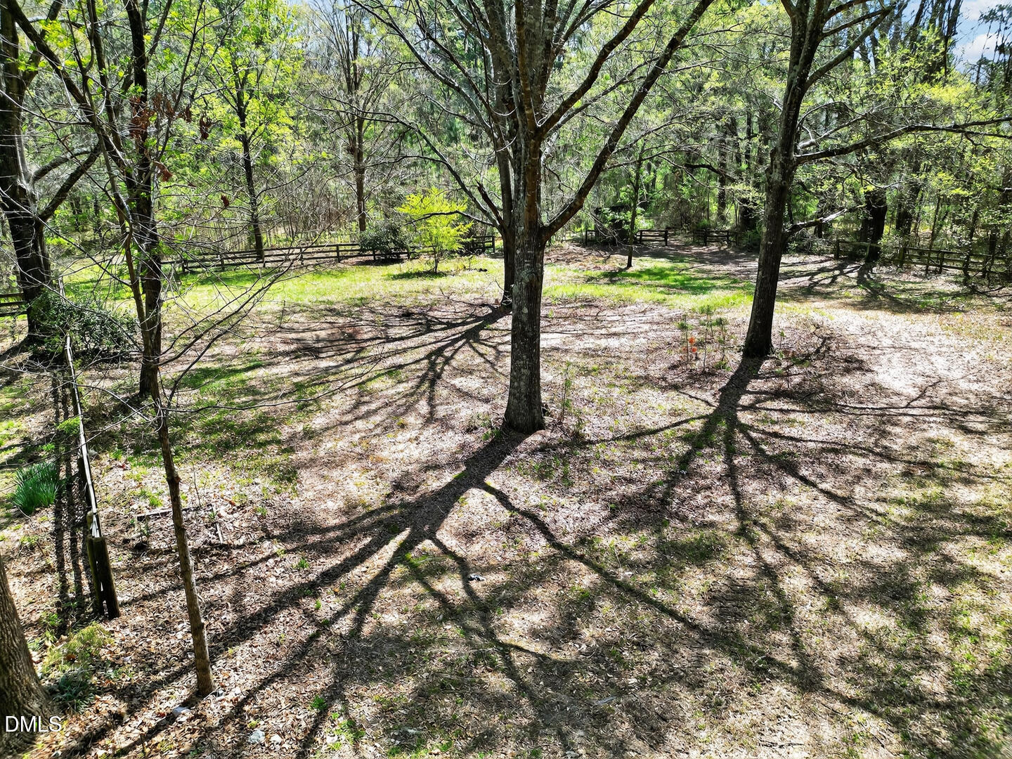 1620 Wait Avenue Wake Forest, NC 27587 - Photo 19 of 55 a view of a yard with a tree