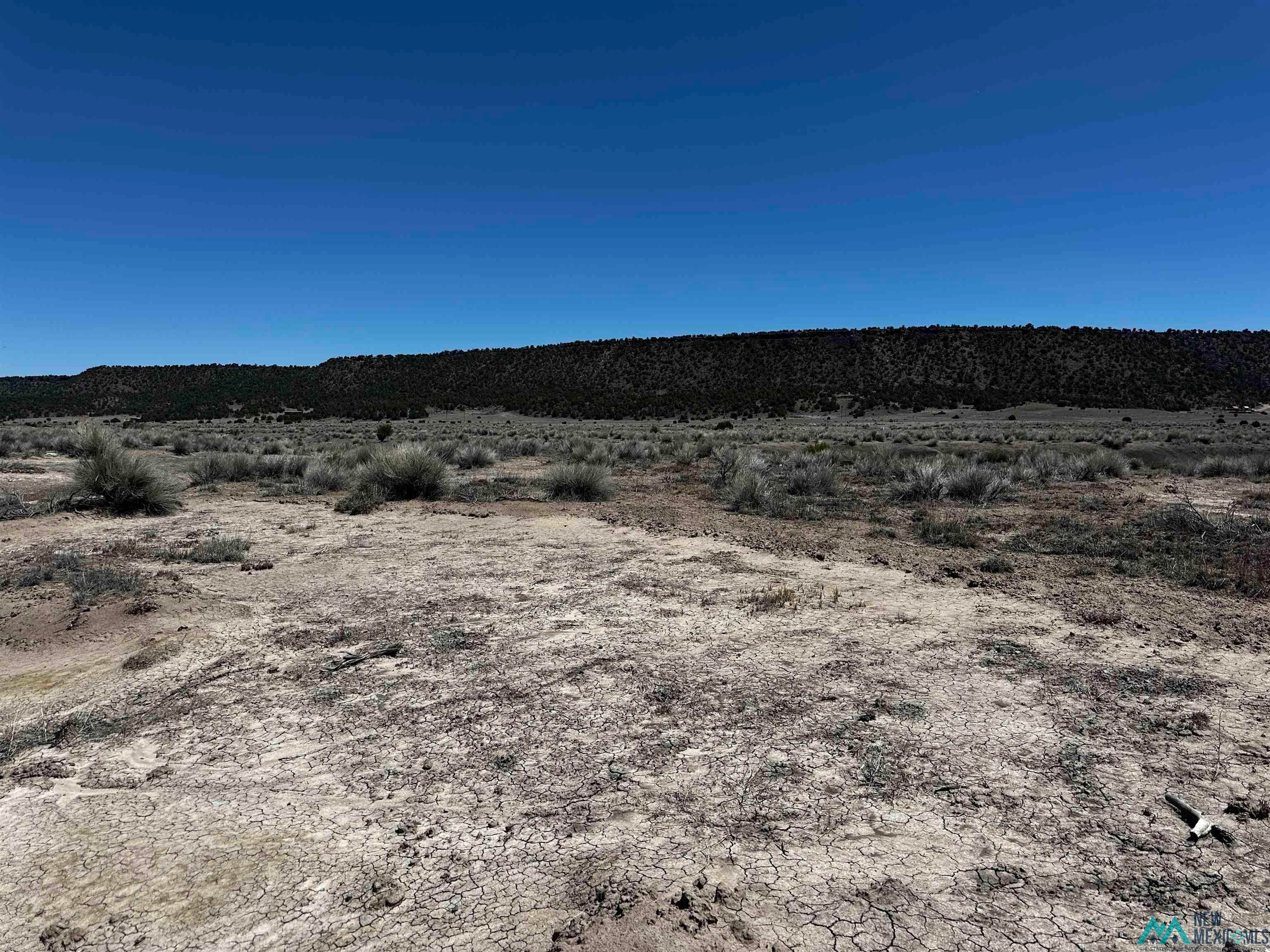 37 Airport Road Quemado, NM 87829 - Photo 3 of 6