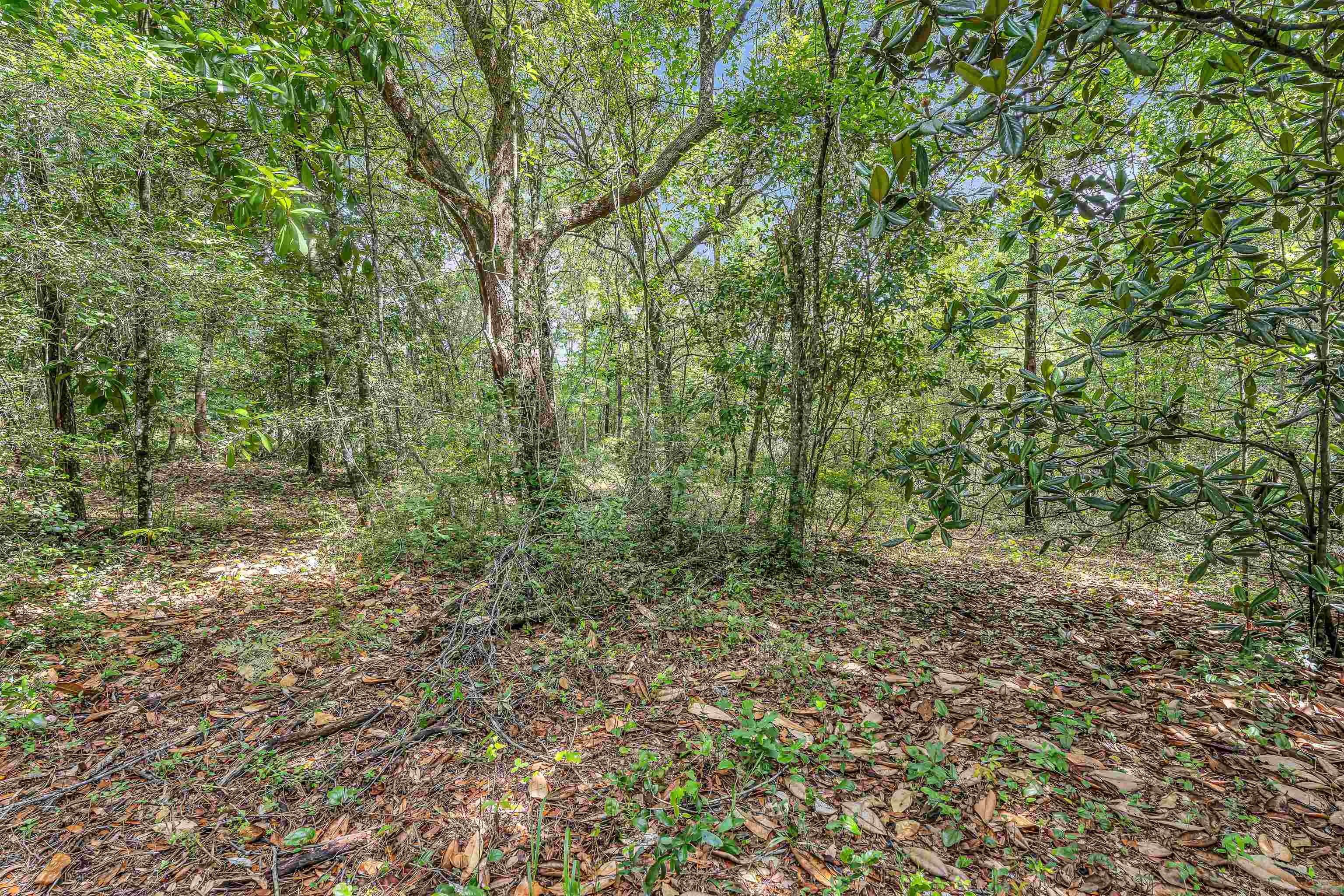 39 County Road 39 Stapleton, AL 36578 - Photo 4 of 16 View