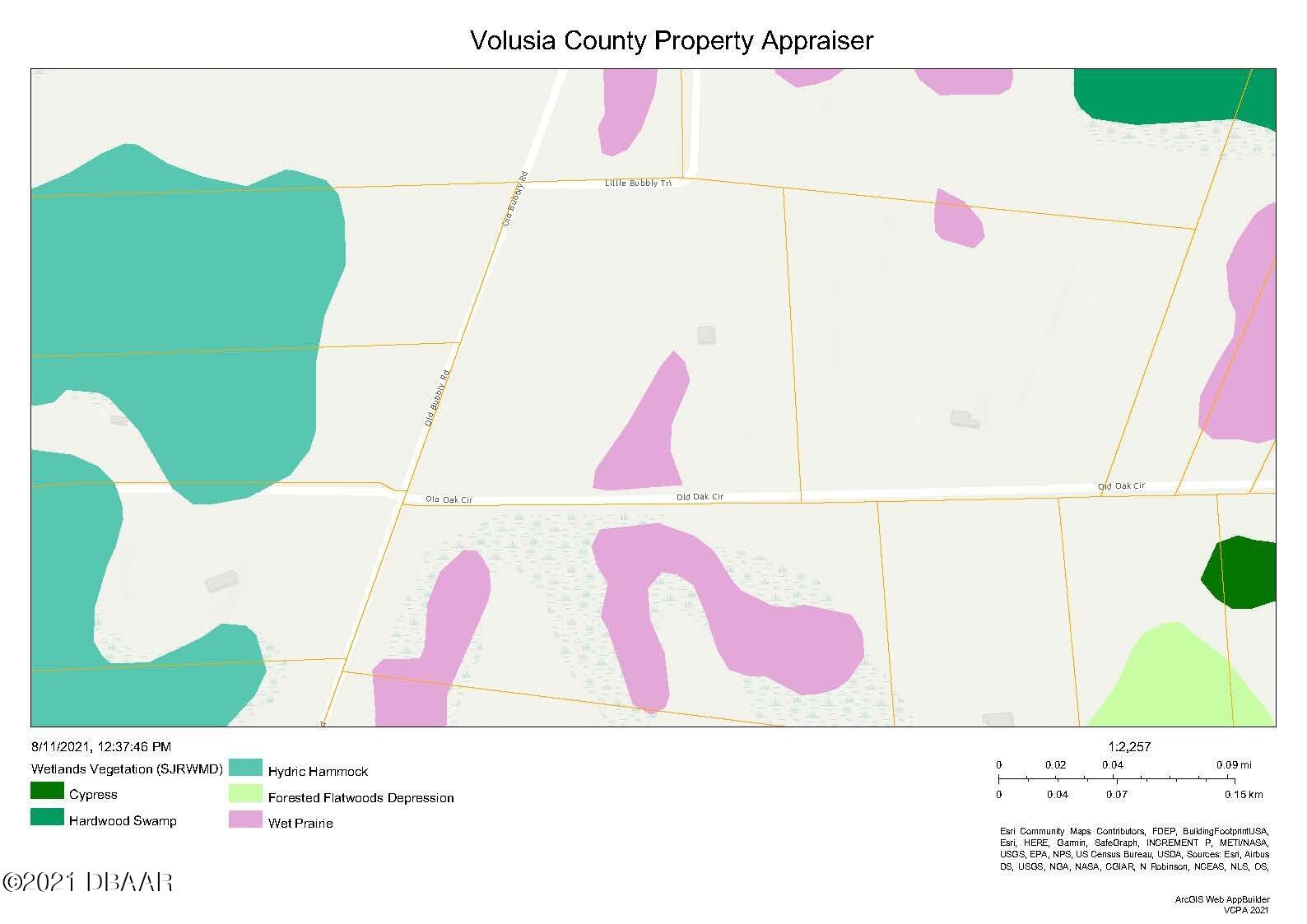 367 Old Bubbly Road Pierson, FL 32180 - Photo 13 of 13 SJRWMD Wetlands Vegetation Map