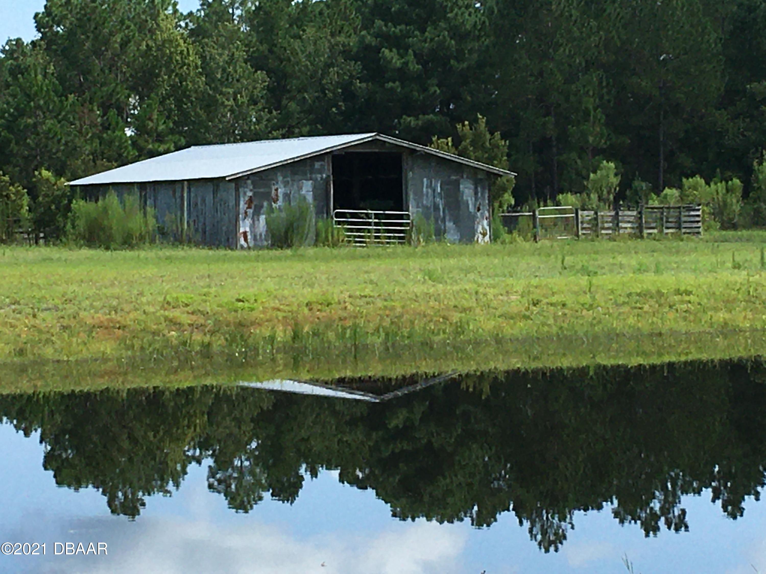 367 Old Bubbly Road Pierson, FL 32180 - Photo 3 of 13 367 Old Bubbly
