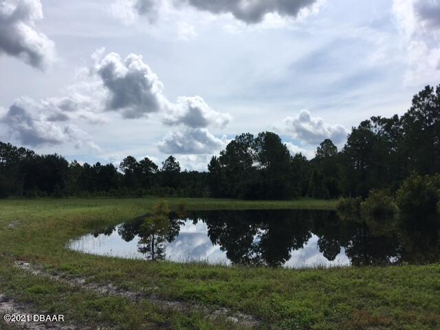 367 Old Bubbly Road Pierson, FL 32180 - Photo 5 of 13 IMG_2997