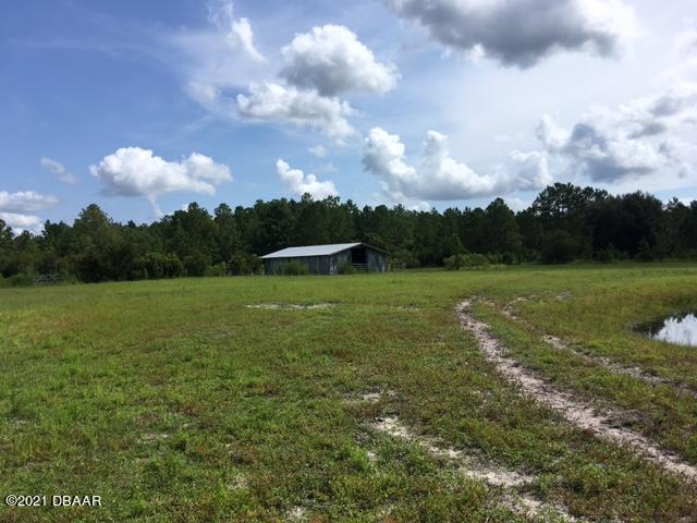367 Old Bubbly Road Pierson, FL 32180 - Photo 6 of 13 IMG_2995