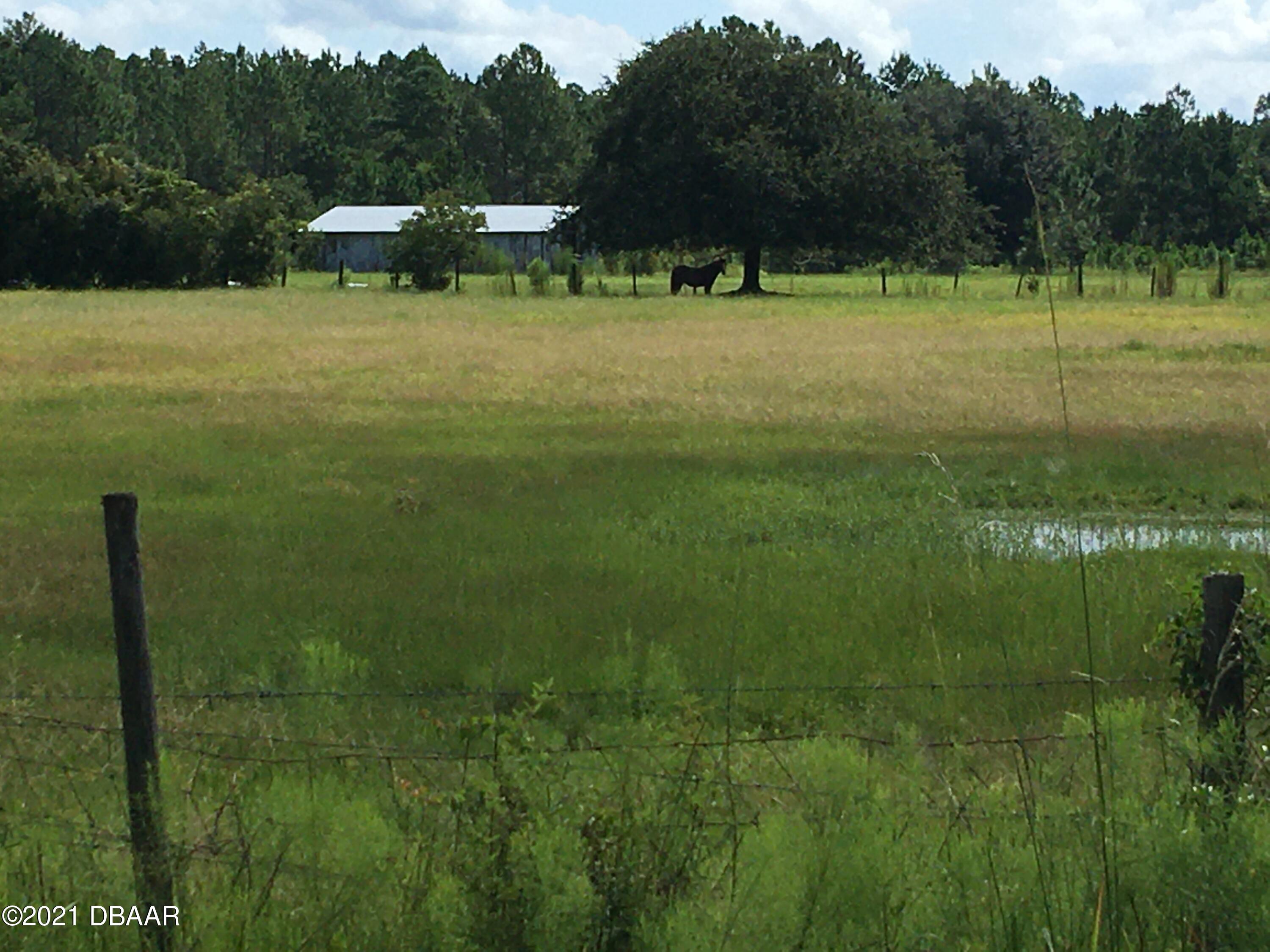 367 Old Bubbly Road Pierson, FL 32180 - Photo 7 of 13 IMG_2821