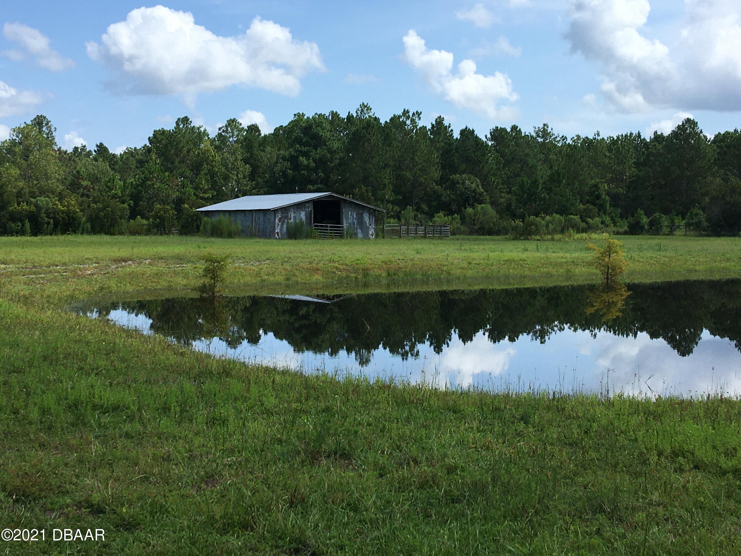 367 Old Bubbly Road Pierson, FL 32180 - Photo 8 of 13 IMG_2827