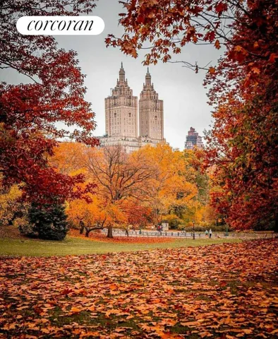 a view of a street with cars on road