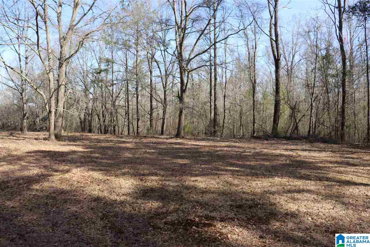 4908 Jim Goggans Road Dora, AL 35062 - Photo 27 of 30