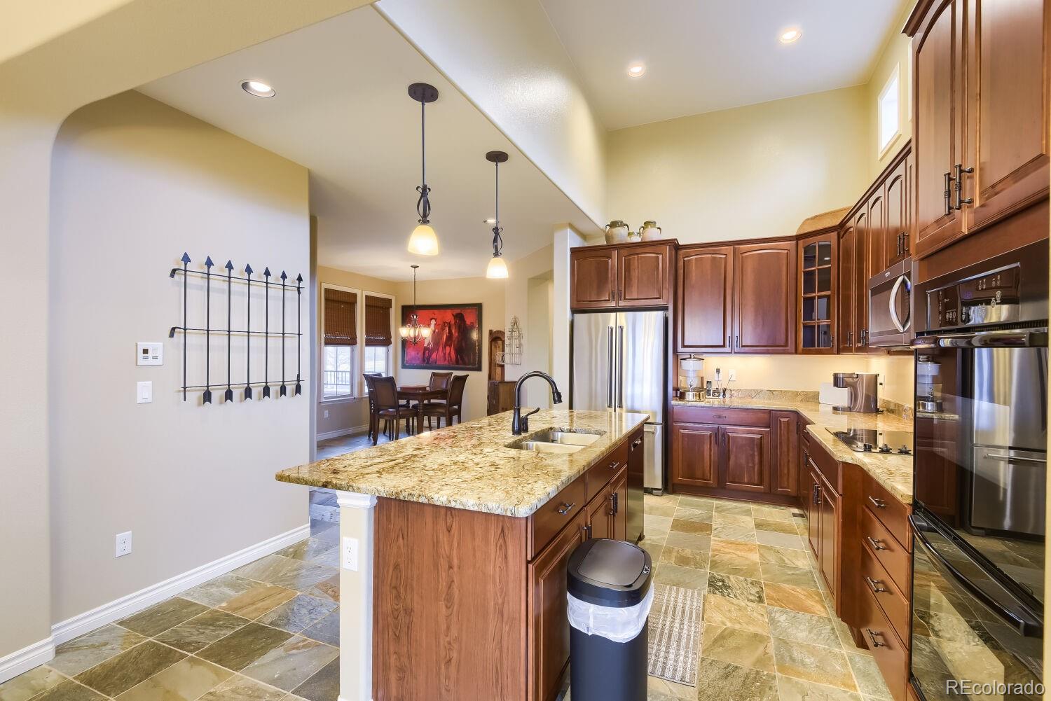 9309 Viaggio Way Highlands Ranch, CO 80126 - Photo 11 of 47
