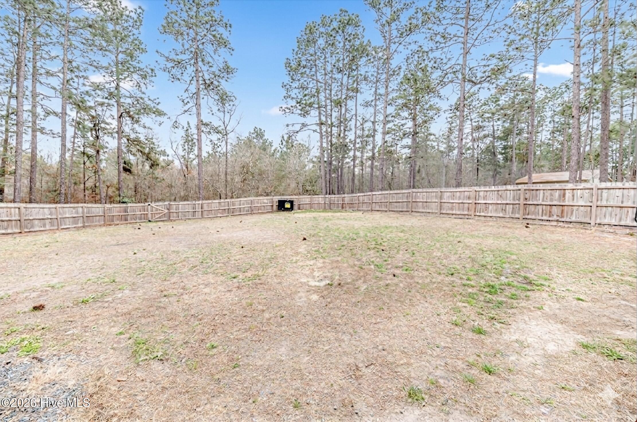 125 Love Grove Church Road West End, NC 27376 - Photo 23 of 26 Spacious Backyard with privacy fence