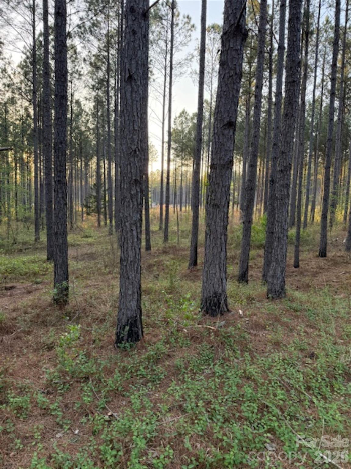 0 Spencer Point Road Lilesville, NC 28091 - Photo 2 of 5