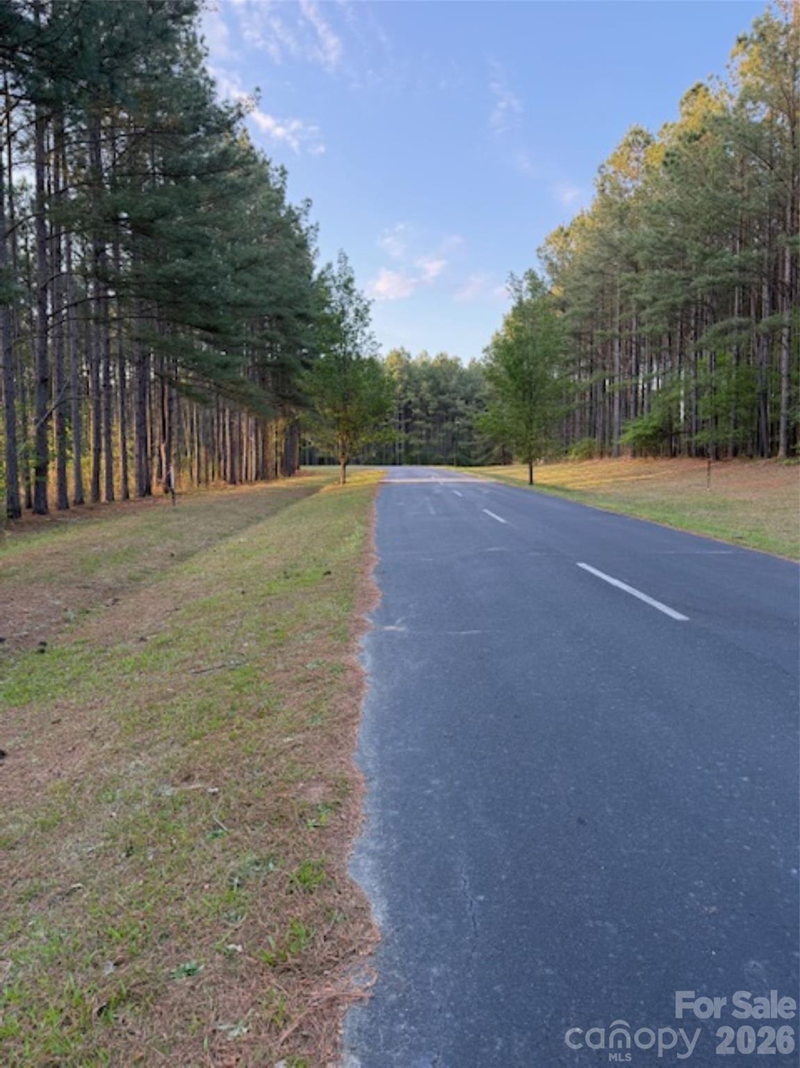 0 Spencer Point Road Lilesville, NC 28091 - Photo 4 of 5