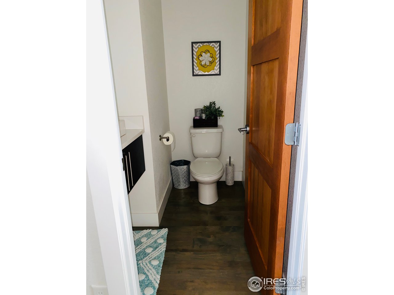 363 Pascal Street Fort Collins, CO 80524 - Photo 16 of 40 Guest 1/2 bathroom