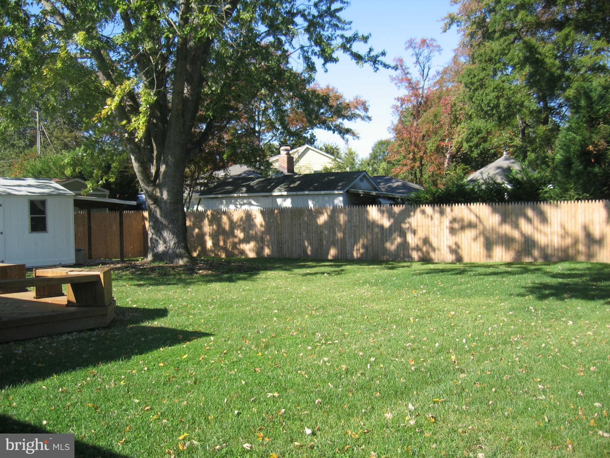 1602 Shenandoah Road Alexandria, VA 22308 - Photo 19 of 20 Exterior (Rear)