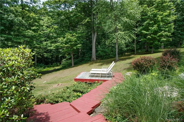 a view of a park with large trees
