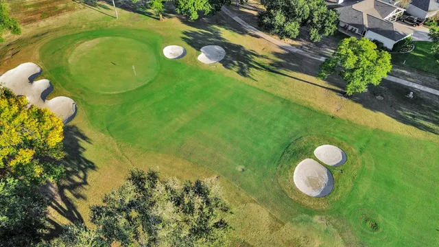a view of a lush green field with lots of plants in the background