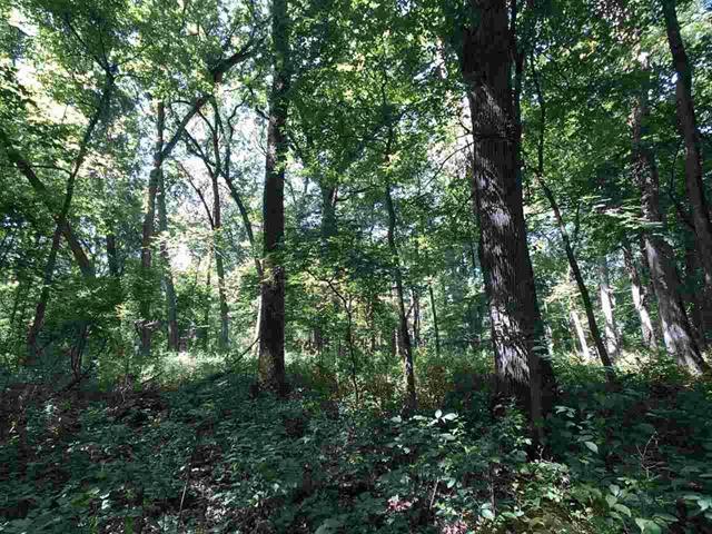 3012 North River Road Oregon, IL 61061 - Photo 22 of 35