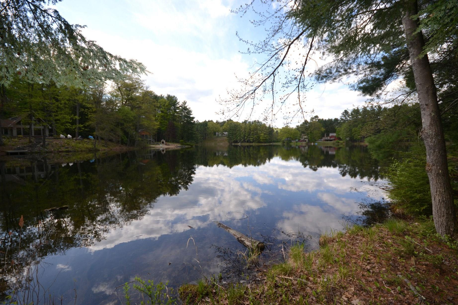 91 Pinewoods Road Lake Luzerne, NY 12846 - Photo 1 of 9 Photo 1