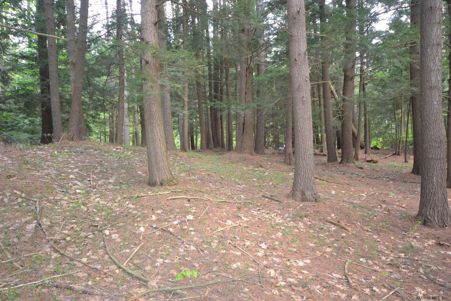 91 Pinewoods Road Lake Luzerne, NY 12846 - Photo 7 of 9 Photo 7