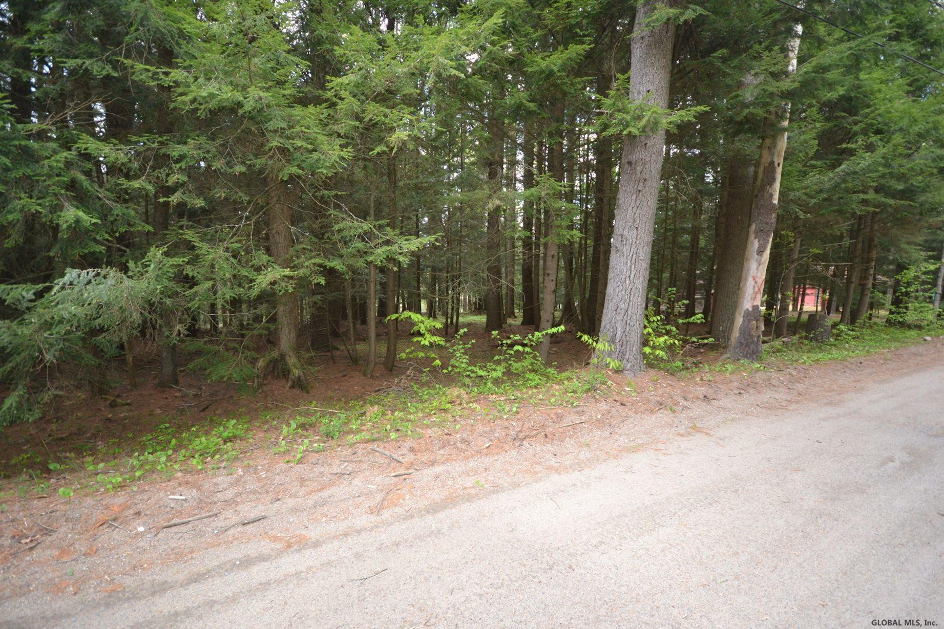 91 Pinewoods Road Lake Luzerne, NY 12846 - Photo 8 of 9 Photo 8