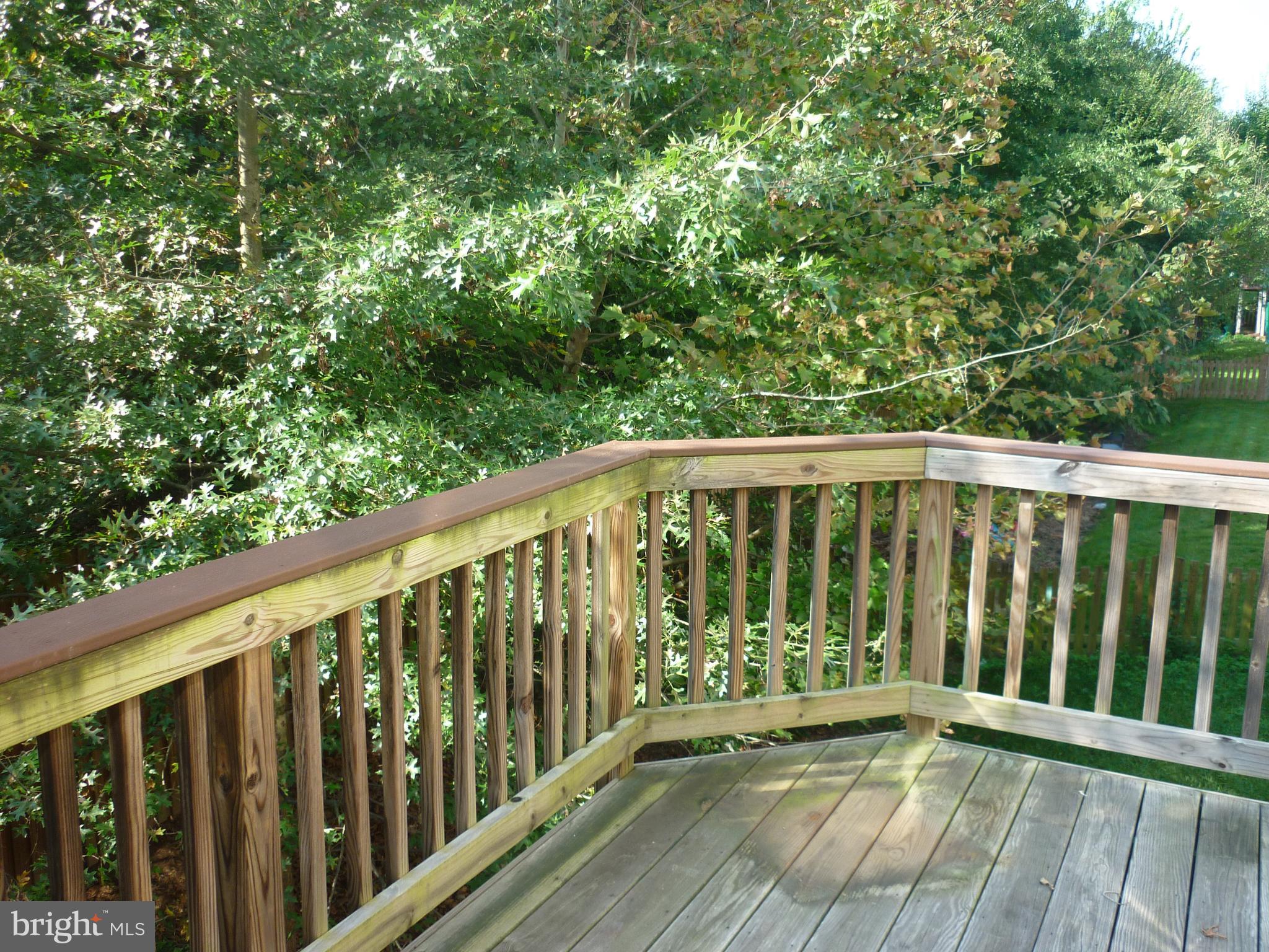 7577 Rio Grande Way Gainesville, VA 20155 - Photo 18 of 18 Exterior (Rear)