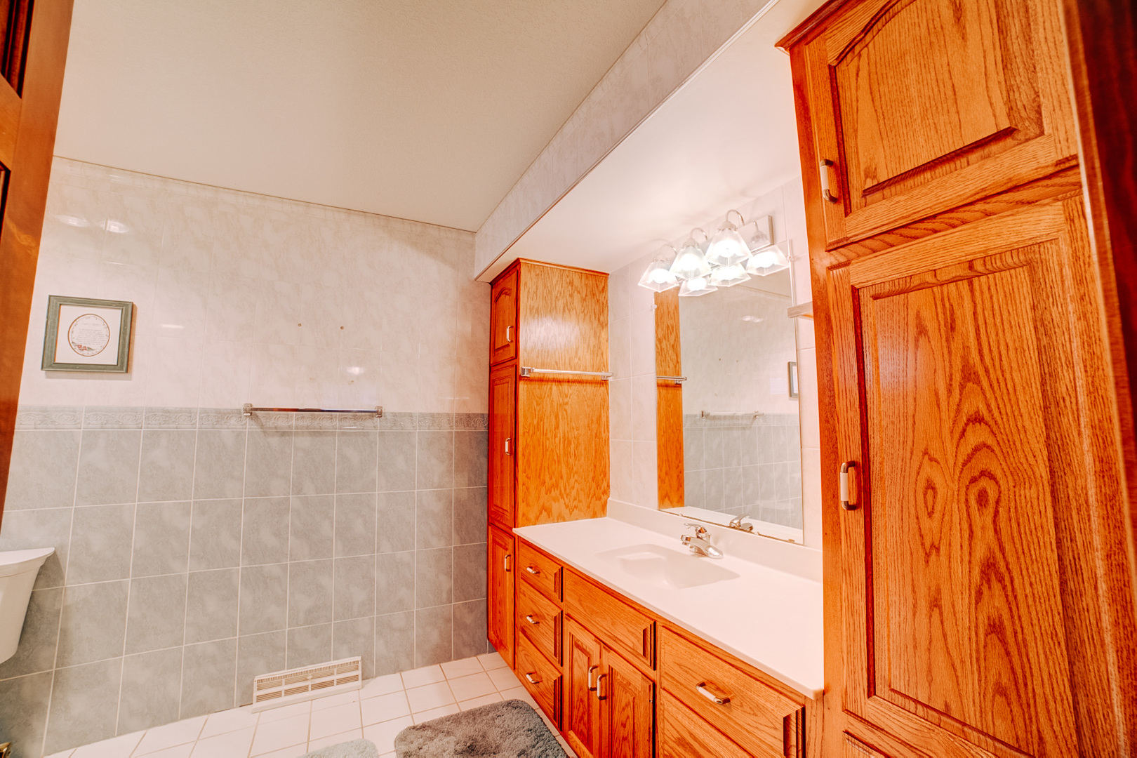 601 Church Street Crescent City, IL 60928 - Photo 42 of 60 a bathroom with a granite countertop sink and a shower